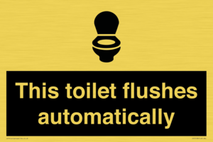 This toilet flushes automatically
